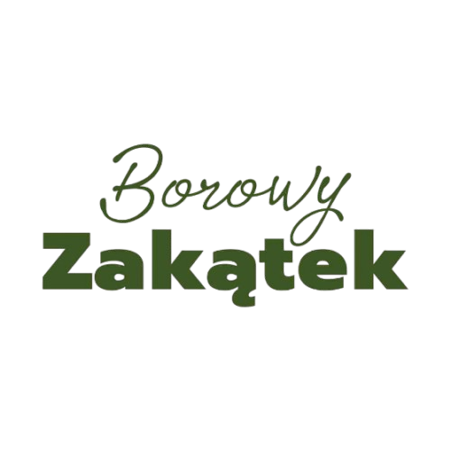 bz-removebg-preview